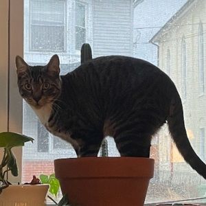 Meet your Posher, Dylan